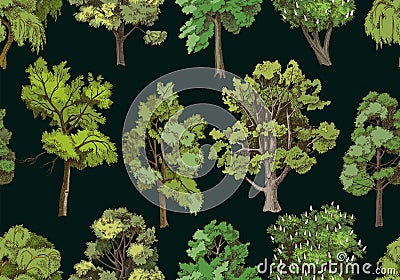 Seamless pattern with hand drawn deciduous trees Vector Illustration
