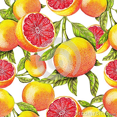 Seamless pattern of hand drawn grapefruit Stock Photo