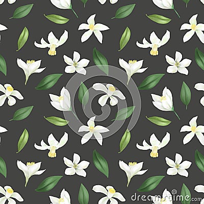 Seamless pattern with hand drawn green leaves and lemon lime flowers Stock Photo