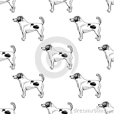 Seamless pattern with hand drawn Jack Russel terriers Vector Illustration