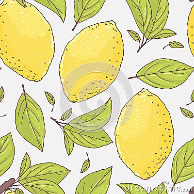 Seamless pattern with hand drawn lemon and leaves. Doodle fruit for package or kitchen design Vector Illustration