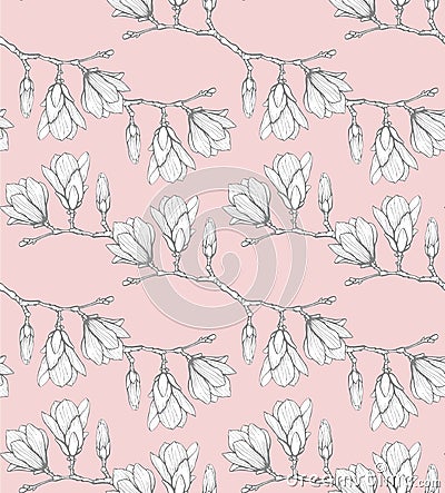 Seamless pattern with hand drawn magnolia flower. Vector illustration. Botanical pattern for textiles and wallpapers Vector Illustration