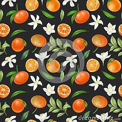 Seamless pattern with hand drawn mandarins and mandarin flowers Stock Photo