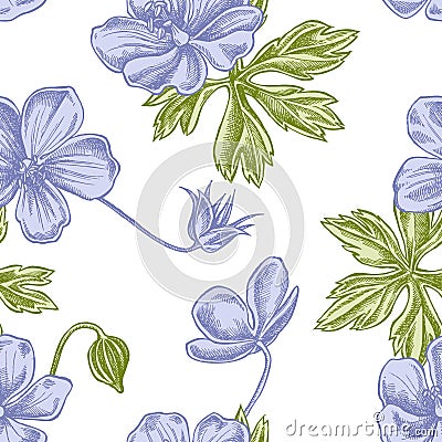 Seamless pattern with hand drawn pastel meadow geranium Vector Illustration