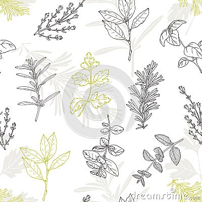 Seamless pattern with hand drawn spicy herbs. Culinary kitchen background Vector Illustration