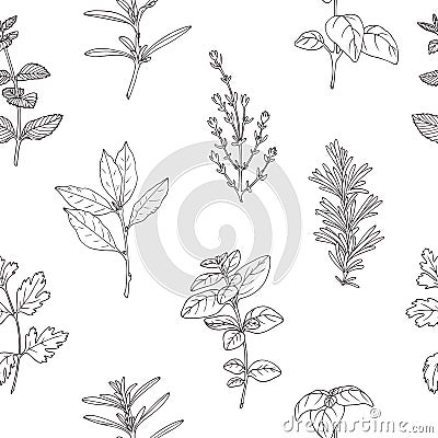 Seamless pattern with hand drawn spicy herbs. Monochrome kitchen background Vector Illustration