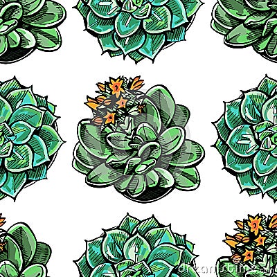 Seamless pattern with hand drawn succulents on white background Vector Illustration