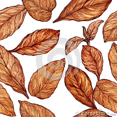 Seamless pattern of hand drawn tobacco leaves Stock Photo