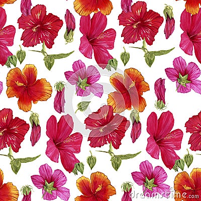 Seamless pattern of hand-drawn watercolor illustrations of Hawaiian hibiscus flowers. Bright tropical flowers on a white Cartoon Illustration