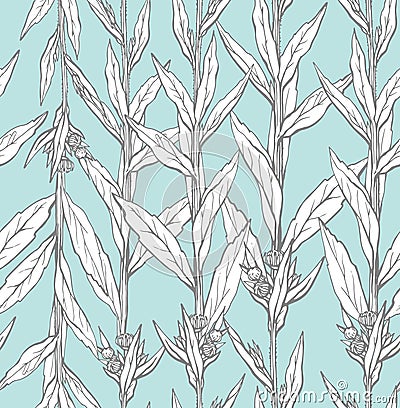 Seamless pattern with hand drawn wild flower with leaves. Vector illustration. Botanical pattern for textiles and Vector Illustration