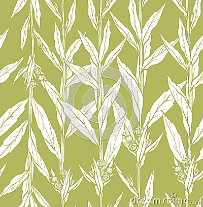 Seamless pattern with hand drawn wild flower with leaves. Vector illustration. Botanical pattern for textiles and Vector Illustration