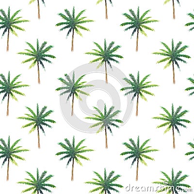 Seamless pattern of hand paint watercolor palm tree, natural summer illustration Cartoon Illustration