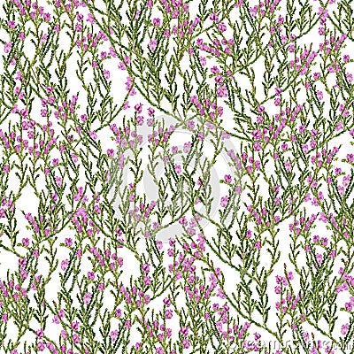 Seamless pattern with heather Stock Photo