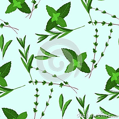 Seamless pattern with herbal mint, thyme, stevia illustration on light blue background Vector Illustration