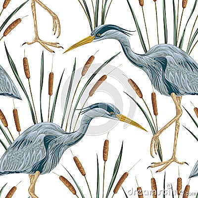 Seamless pattern with heron bird and bulrush. Swamp flora and fauna Vector Illustration