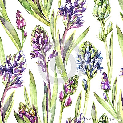 Seamless pattern Hyacinths flowers and leaves. Spring watercolor illustration in violet shades. Botanical texture. Fresh Cartoon Illustration