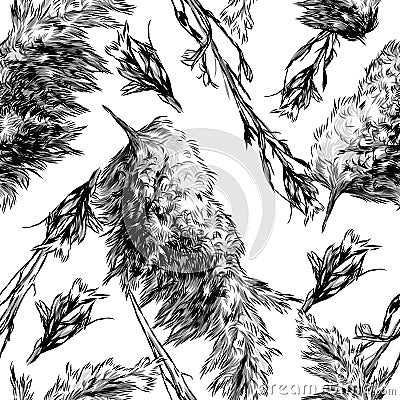 Seamless pattern with images of dry grass and fluffy autumn plants, Vector Illustration