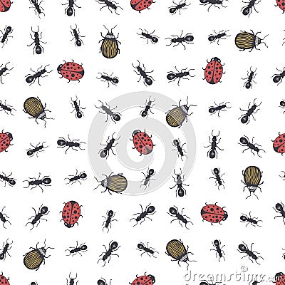 Seamless pattern with insects - ants, ladybirds and colorado beetles. Vector seamless texture. Vector Illustration