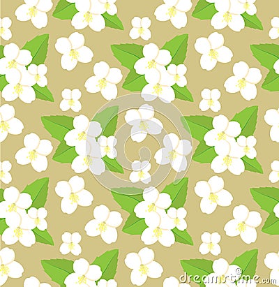 Seamless pattern of jasmine flowers Vector Illustration