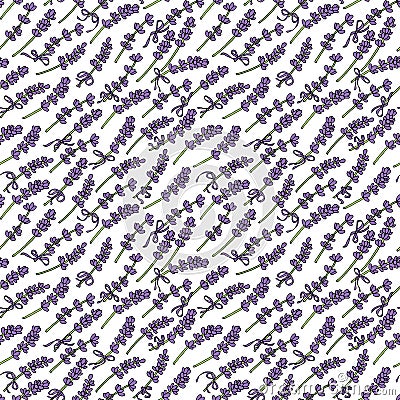 Seamless pattern with lavender flowers Vector Illustration