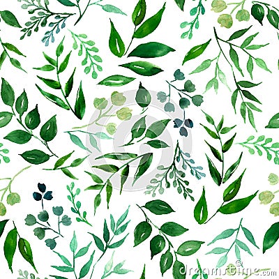 Seamless pattern of leaves, herbs, tropical plant. Stock Photo