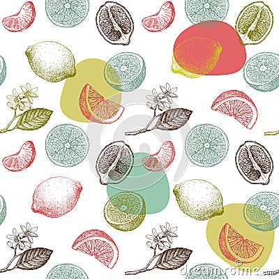Seamless pattern with lemons, oranges and mandarins. Vector Illustration
