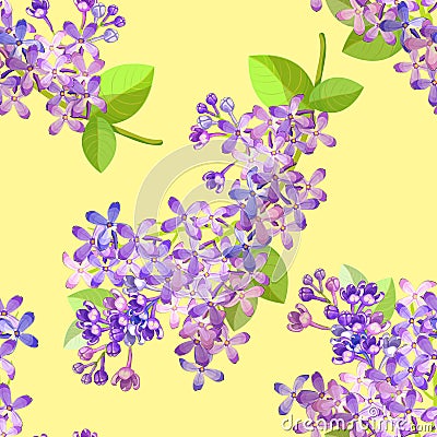 Seamless pattern Lilac branch flowers blooming spring. Vector il Vector Illustration