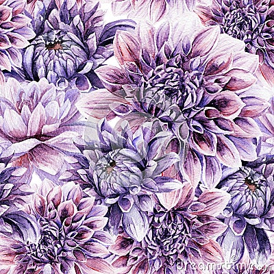 Seamless pattern with lilac dahlia. Stock Photo