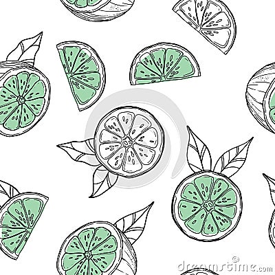 Seamless pattern with lime and green leaves, slice citrus white background. Tropical fruits. Raw and vegetarian food. Vector Illustration