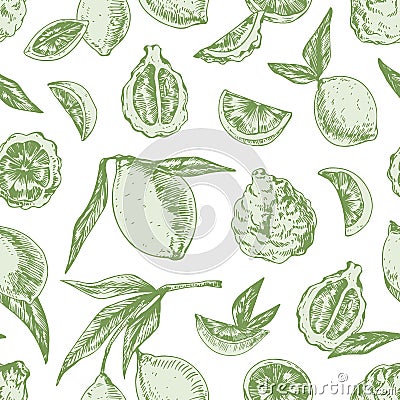 Seamless pattern with limes, bergamots and leaves on white background. Design of endless repeatable texture with green Vector Illustration