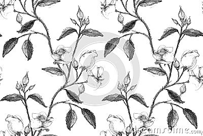 Seamless pattern made of pencil sketched rose Vector Illustration