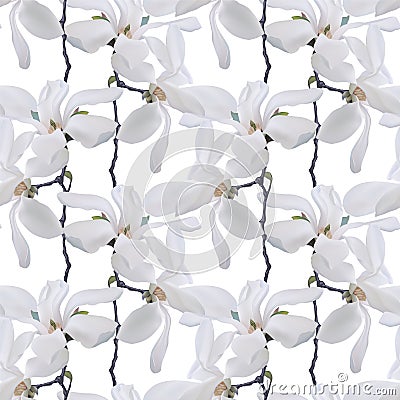 Seamless pattern - magnolia flowers Vector Illustration