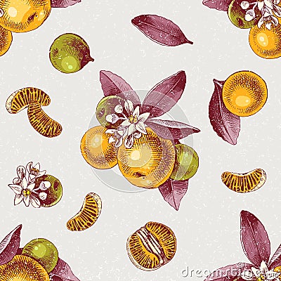 Seamless pattern with mandarin branches and slices Vector Illustration