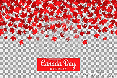 Seamless pattern with maple leafs for 1st of July celebration on transparent background. Canada Day. Vector Illustration