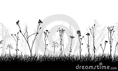 Seamless pattern of meadow with weeds and wild plants, silhouette. Vector illustration Vector Illustration