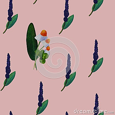 Seamless pattern with medicinal plants Cartoon Illustration