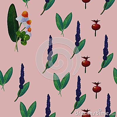 Seamless pattern with medicinal plants, pink background. Cartoon Illustration