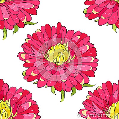 Seamless pattern Michaelmas daisy aster spring Flower. vector illustration Vector Illustration