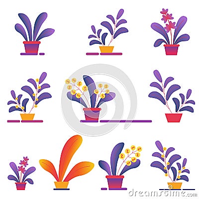 Seamless Pattern of Money Homeplants Grow in Pots Vector Illustration