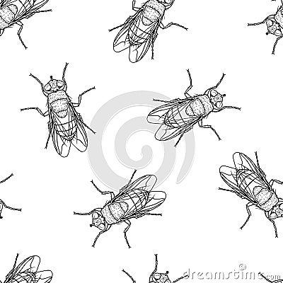 Seamless pattern of monochrome flys illustration. Vector illustration template Vector Illustration