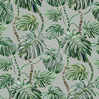 Seamless pattern with monstera flower painted in watercolor on a gray background Stock Photo