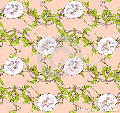 Seamless pattern with a morning glory Cartoon Illustration