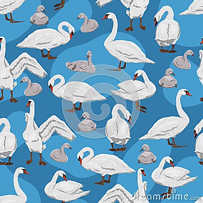 Seamless pattern with Mute swans. White swans Cygnus olor and their chicks in different positions. Vector Illustration
