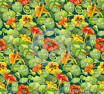 Seamless pattern with nasturtium flowers and leaves painted with watercolor Stock Photo