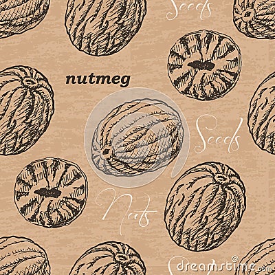 Seamless pattern with nutmeg on a vintage background Vector Illustration