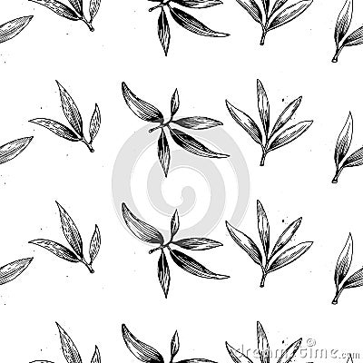 Seamless pattern with olive branch Stock Photo