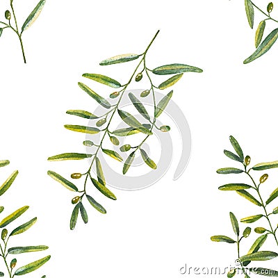 Seamless pattern of olive branches in watercolor Vector Illustration