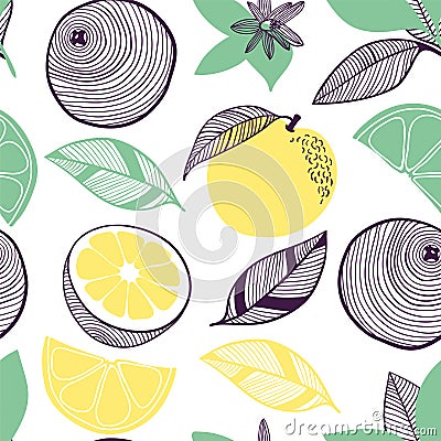 Seamless pattern of citrus. Fruit, leaf, slice, flower of orange, lime, lemon. Vector hand drawn illustration set in modern trendy Cartoon Illustration