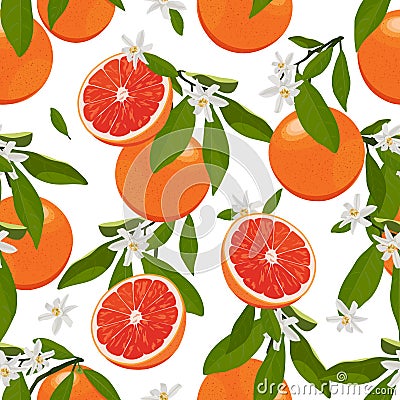 Seamless pattern orange fruits with flowers and leaves on white background. Grapefruit vector Vector Illustration
