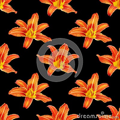 Seamless pattern orange lily flower black background isolated, red & yellow petals lilly repeating ornament, daylily texture Stock Photo